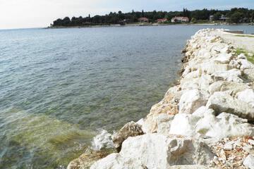 Photo 50