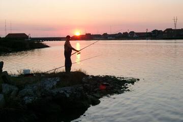 Photo 40