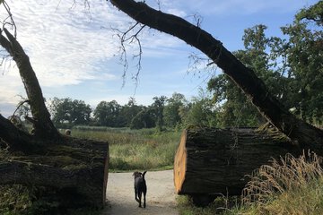 Hiking