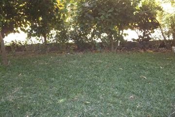 Photo 73