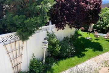 Photo 38
