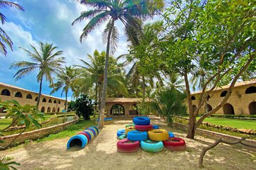 Pet-friendly amenities