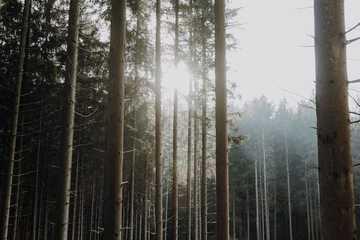 Hiking