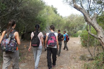 Hiking