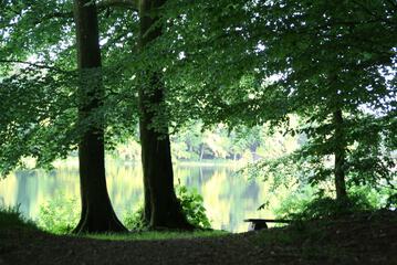 BBQ/picnic area