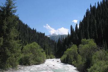Photo 33