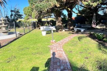 Photo 27