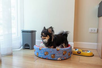 Pet-friendly amenities