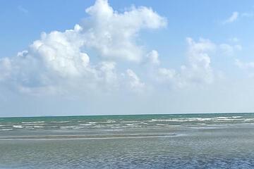 Photo 44