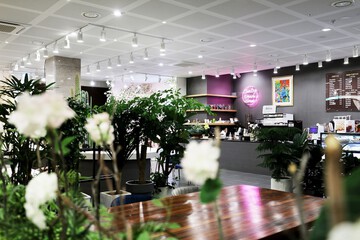 Cafe