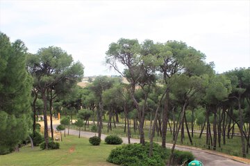 Ecotours