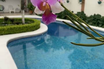 Pool waterfall