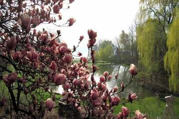 Land view from property