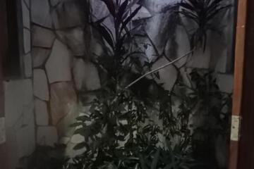 Photo 35