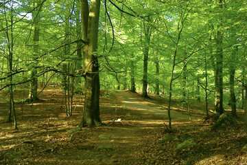 Hiking