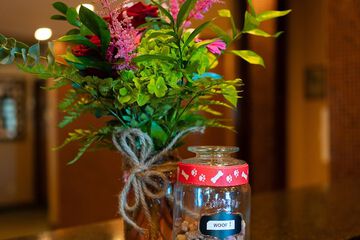 Pet-friendly amenities