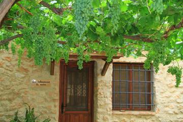 Photo 26