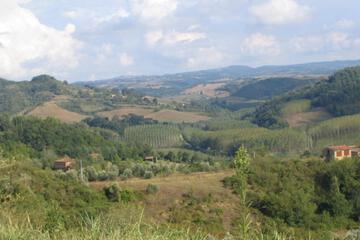 Photo 24