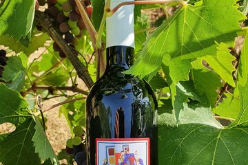 Winery