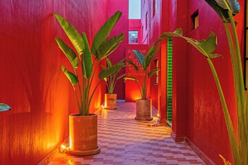 Hallway
