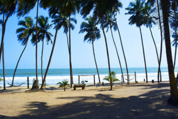 Beach or Ocean View