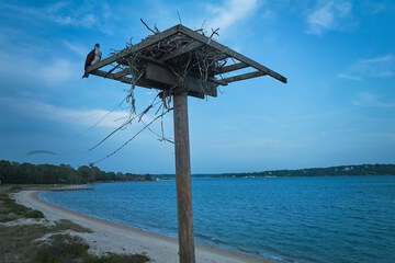 Children's activities