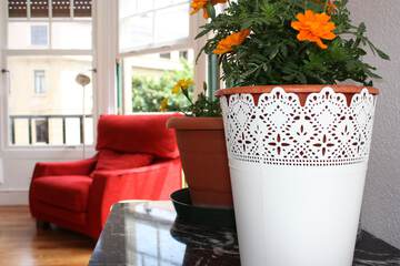 Interior detail