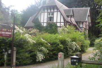 Photo 20