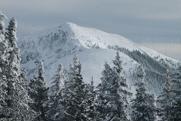 Skiing