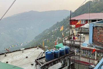 View from room