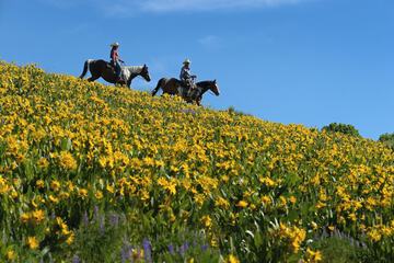 Horseback riding