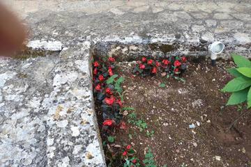Photo 49