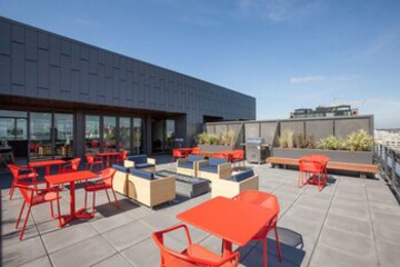 Terrace or Patio