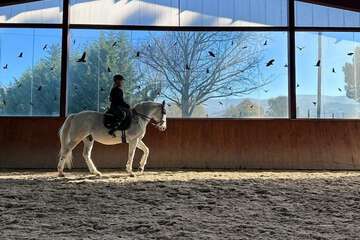 Horseback riding