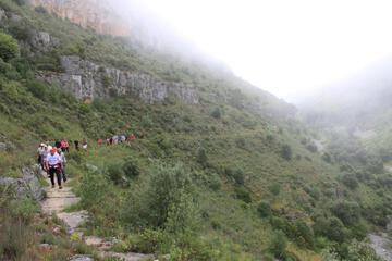 Photo 38