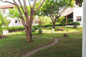 Photo 39