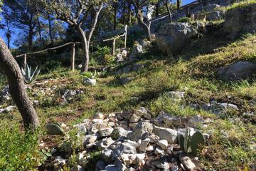Photo 52