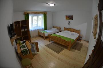 Photo 51