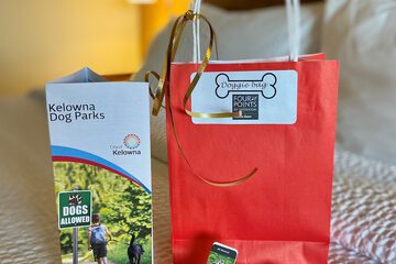 Pet-friendly amenities