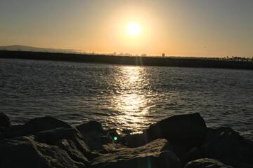 Photo 34