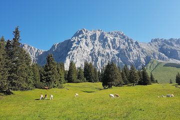 Hiking