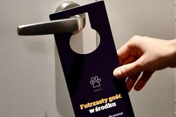 Pet-friendly amenities