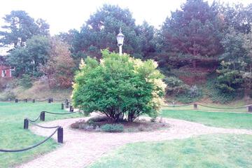 Photo 31