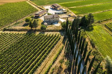 Winery
