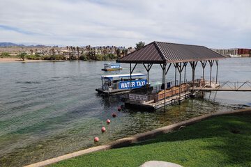 Ferry terminal shuttle