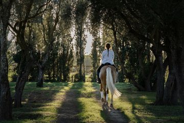 Horseback riding