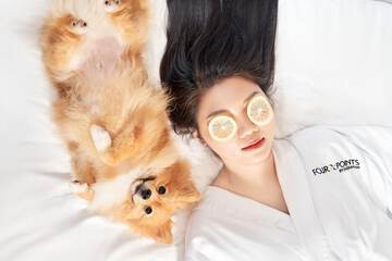 Pet-friendly