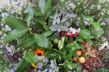Photo 43