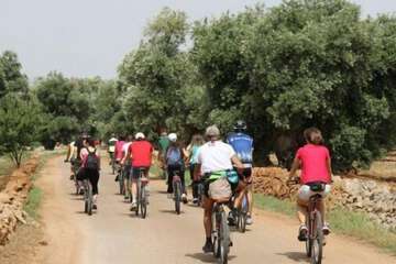Bicycling