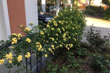 Photo 24